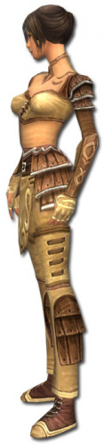 Akolythin Jin Zaishen-Rüstung links.jpg