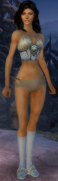 Datei:Derwisch Norn-Rüstung Weiblich brust schuh vorne.jpg