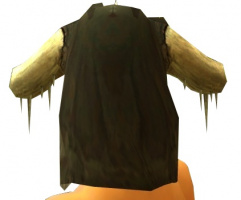 Grenth-Ornat weiblich Kopfteil hinten.jpg