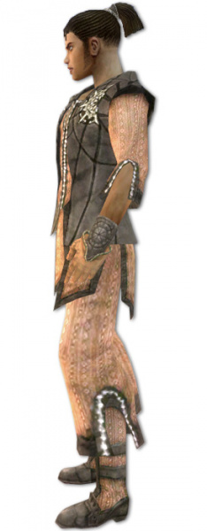 Datei:Elementarmagier Sonnenspeer-Rüstung Männlich seite.jpg