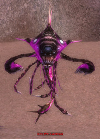 Ritt Windschmelz.jpg