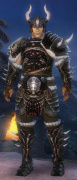 Krieger Norn-Rüstung Männlich vorne.jpg