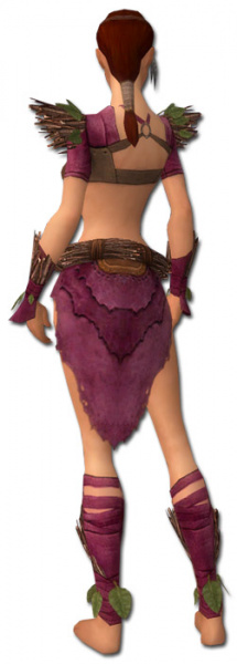 Datei:Waldläufer Elite-Druiden-Rüstung Weiblich hinten.jpg