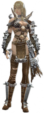 Jora Bruderschafts-Rüstung vorne.jpg