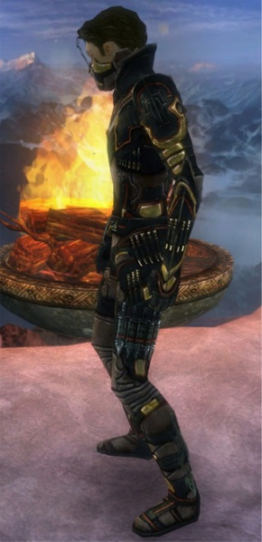 Datei:Assassine Elite-Kurzick-Rüstung Männlich seite.jpg