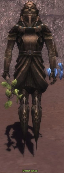 Datei:Diener Jokos (Elementarmagier).jpg