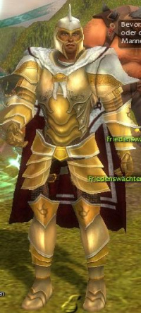 Hochinquisitor Toriimo.jpg