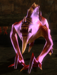 Shreader Scharfzunge.jpg