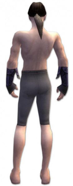 Datei:Elementarmagier Monument-Rüstung Männlich hand bein hinten.jpg