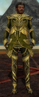Norgu Altehrwürdige Rüstung vorne.jpg