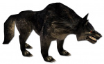 Stufe 5 Schwarzer Wolf