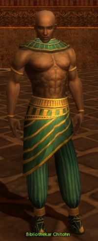 Bibliothekar Chitohn.jpg