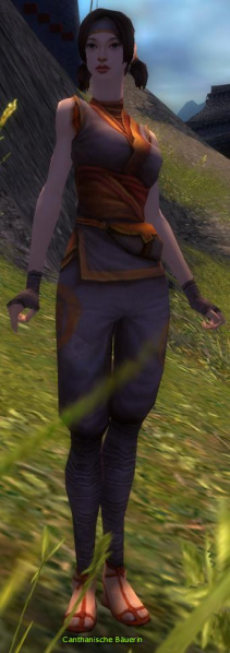 Datei:Canthanische Bäuerin.jpg