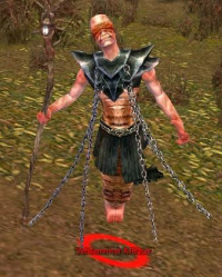 Verdammter Kleriker.jpg