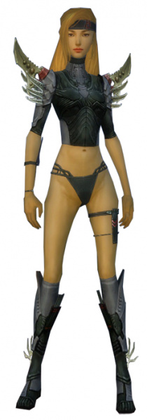 Datei:Assassine Elite-Kaiser-Rüstung Weiblich brust schuh vorne.jpg