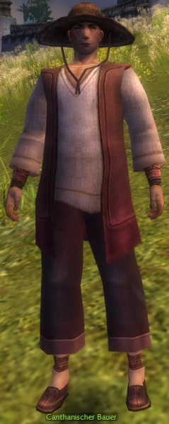 Datei:Canthanischer Bauer (Shing Jea).jpg