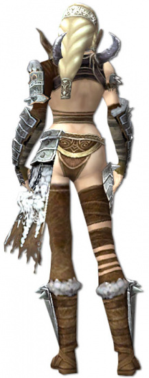 Jora Bruderschafts-Rüstung hinten.jpg