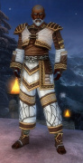 Mönch Elite-Cantha-Rüstung Männlich vorne.jpg