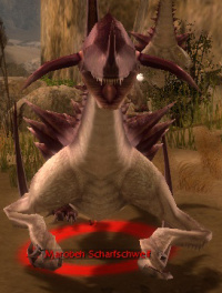 Marobeh Scharfschweif.jpg