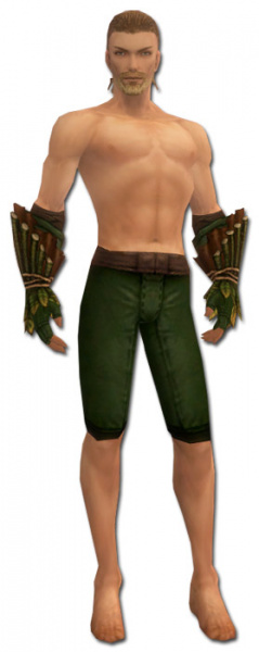 Datei:Waldläufer Druiden-Rüstung Männlich hand bein vorne.jpg