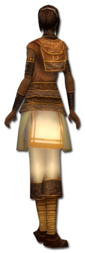 Tahlkora Istan-Rüstung hinten.jpg
