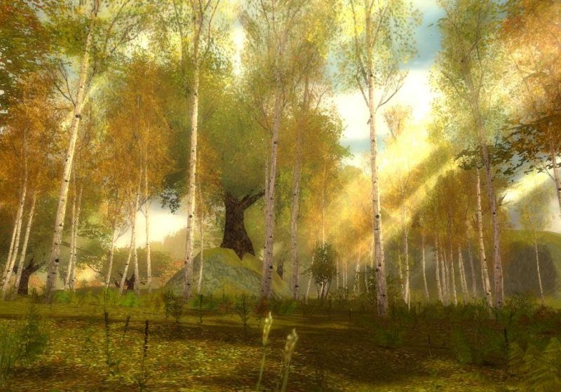 Datei:Regentental (Tutorial).jpg