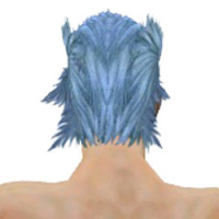 Aspekt des Lich männlich hinten.jpg