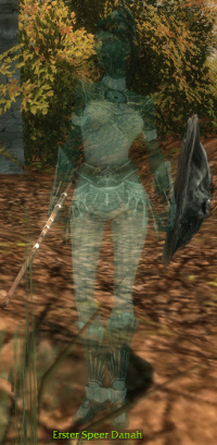 Erster Speer Danah.jpg