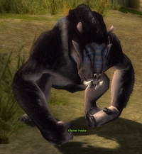 Kleiner Heuler (Sammler).jpg