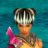 Eisscherbenhaube vorne.jpg