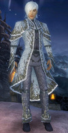 Elementarmagier Elite-Eisgeschmiedete-Rüstung Männlich vorne.jpg