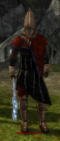 Meister des Schadens.jpg