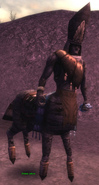 Diener Jokos (Mönch).jpg