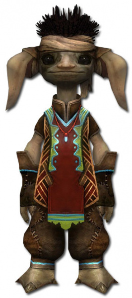 Datei:Vekk Asura-Rüstung vorne.jpg