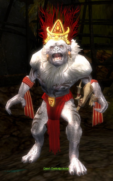 Datei:Grawl-Dunkelpriester.jpg