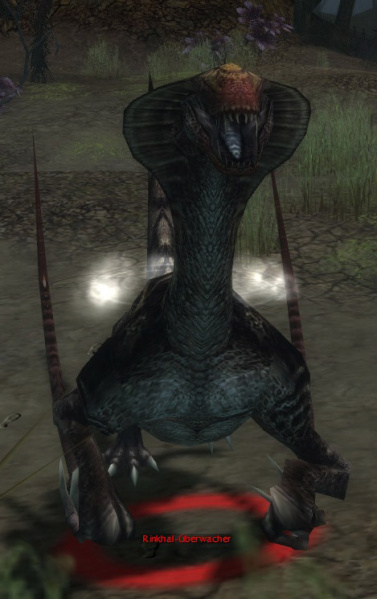 Datei:Rinkhal-Überwacher.jpg