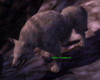 Alpha-Tundrawolf.jpg