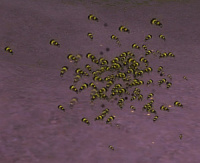 Bienenschwarm-Figur-Avatar.jpg