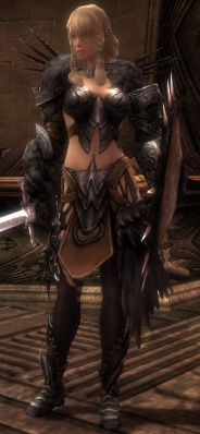 Jora Deldrimor-Rüstung vorne.jpg