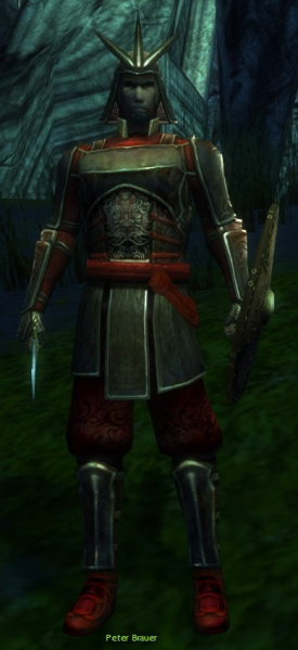 Datei:Peter Brauer.jpg