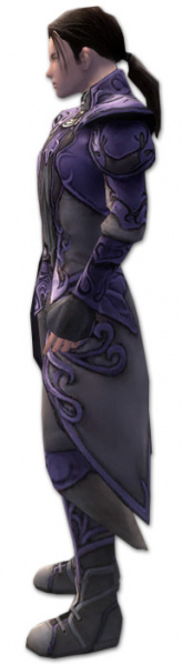 Datei:Elementarmagier Monument-Rüstung Männlich seite.jpg