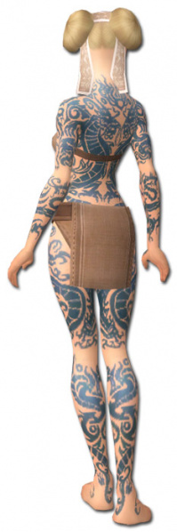 Datei:Mönch Drachen-Rüstung Weiblich hinten.jpg