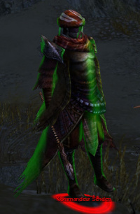 Kommandeur Sehden.jpg