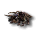 Miniatur-Ceratadon.png