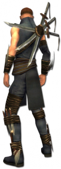 Anton Ebon-Vorhut-Rüstung hinten.jpg