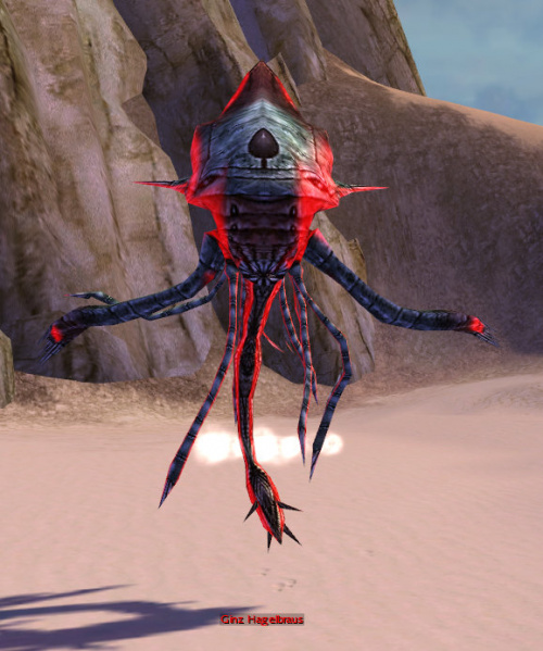 Datei:Ginz Hagelbraus.jpg