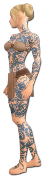 Datei:Mönch Drachen-Rüstung Weiblich seite.jpg