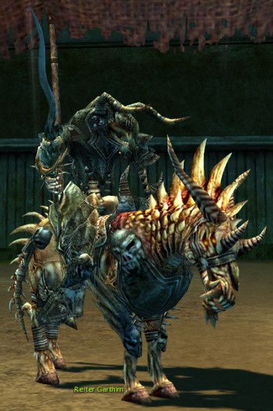 Datei:Reiter Aramon.jpg