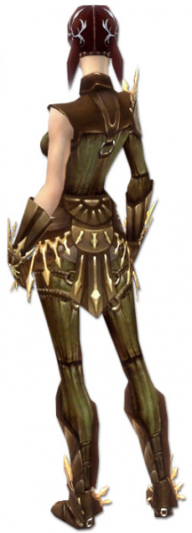 Datei:Waldläufer Elite-Sonnenspeer-Rüstung Weiblich hinten.jpg