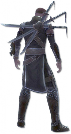 Anton Bruderschafts-Rüstung hinten.jpg